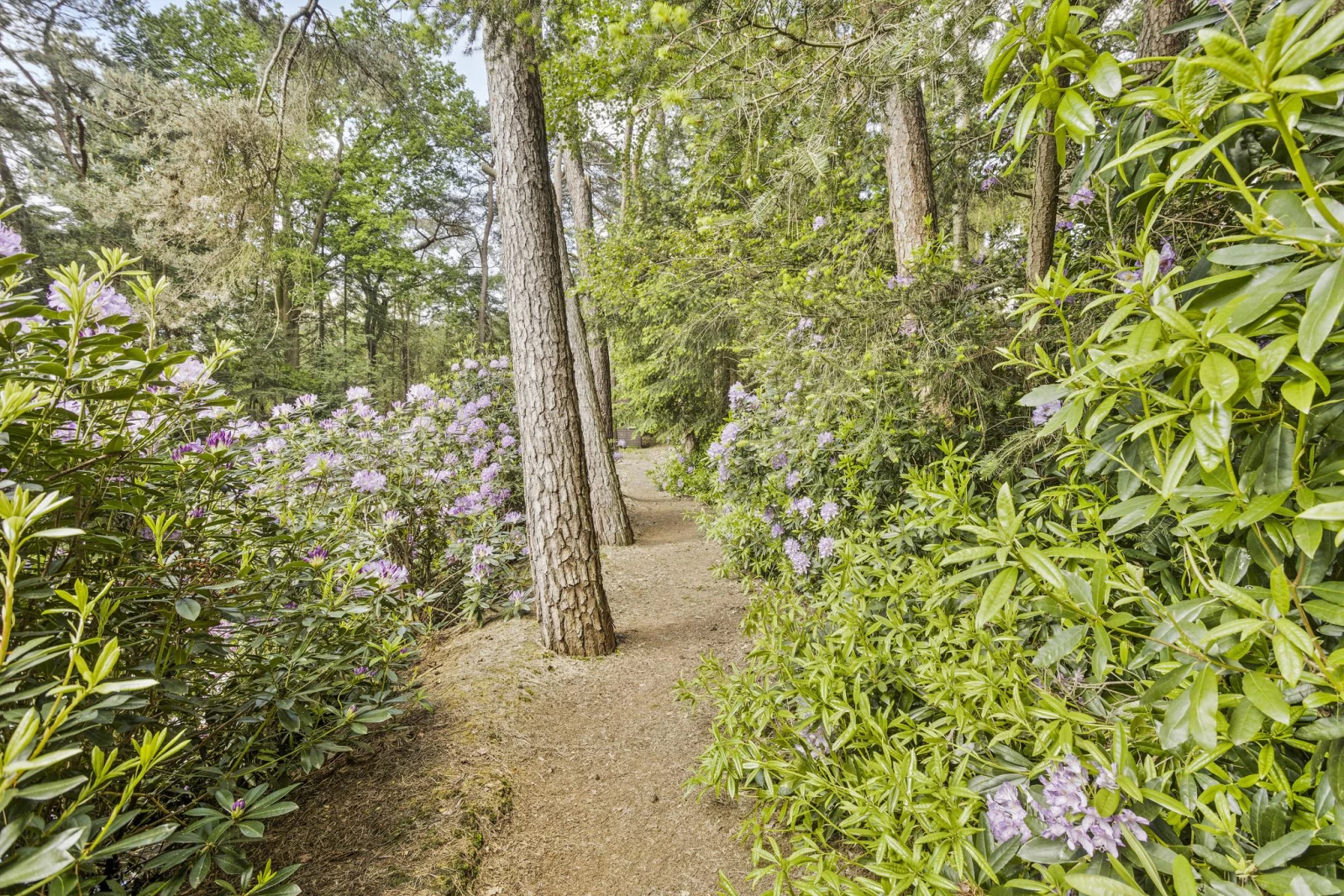 Image 14