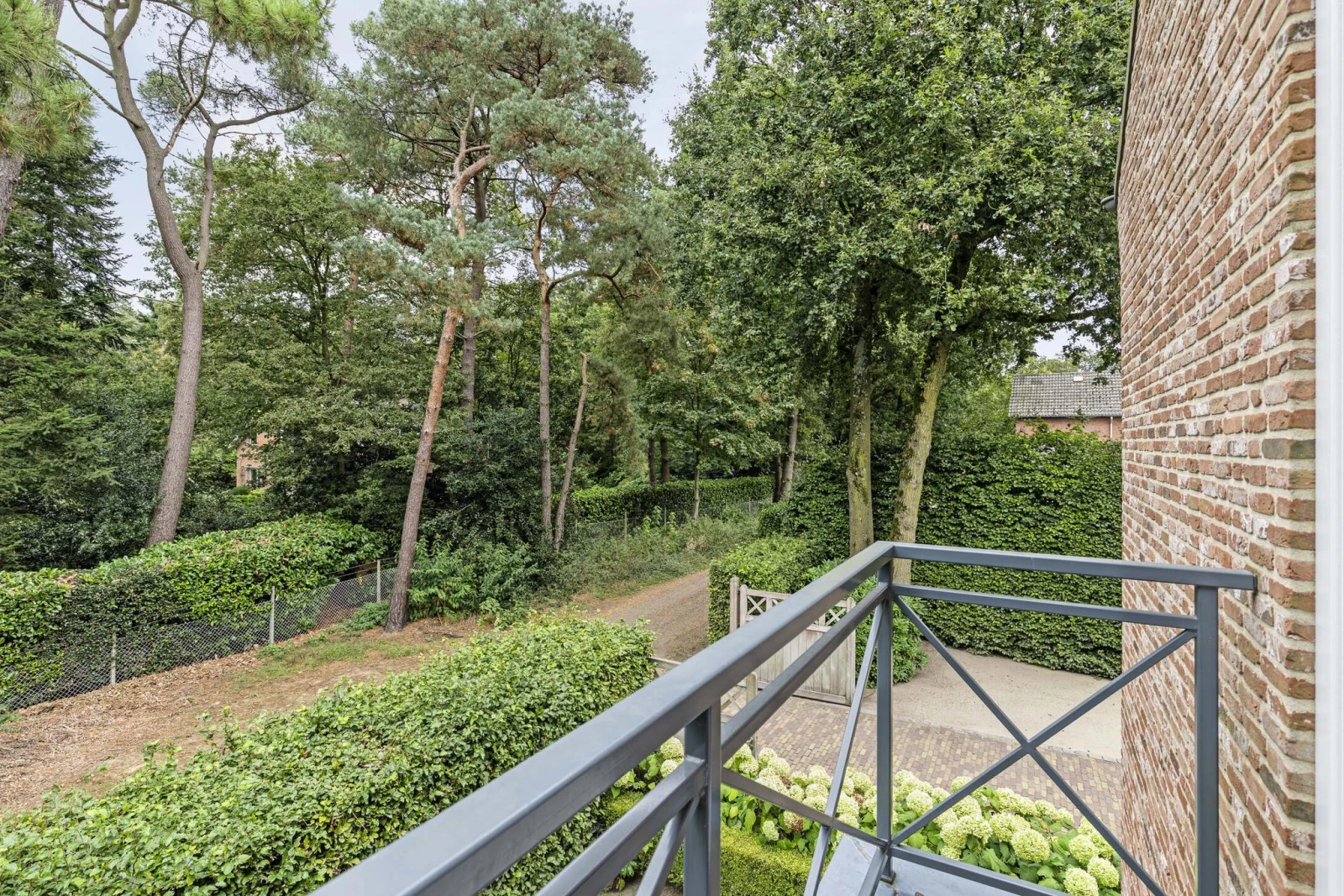Image 29