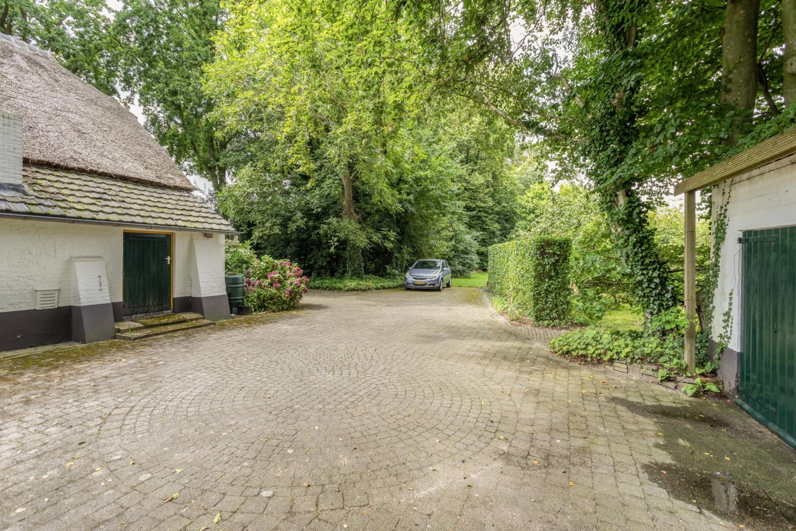 Image 26