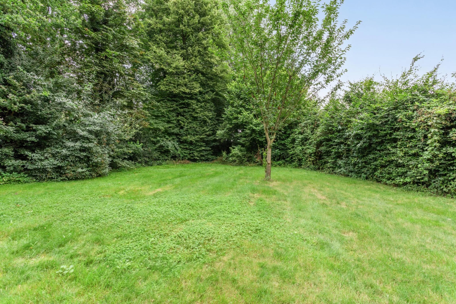 Image 30