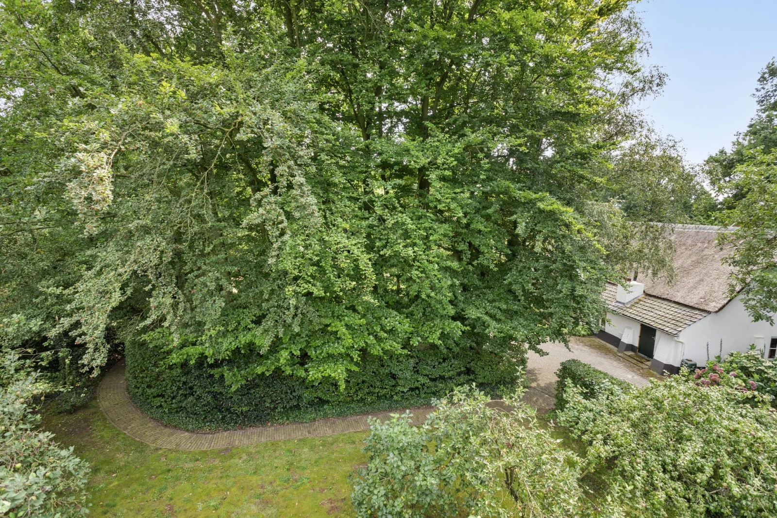 Image 35