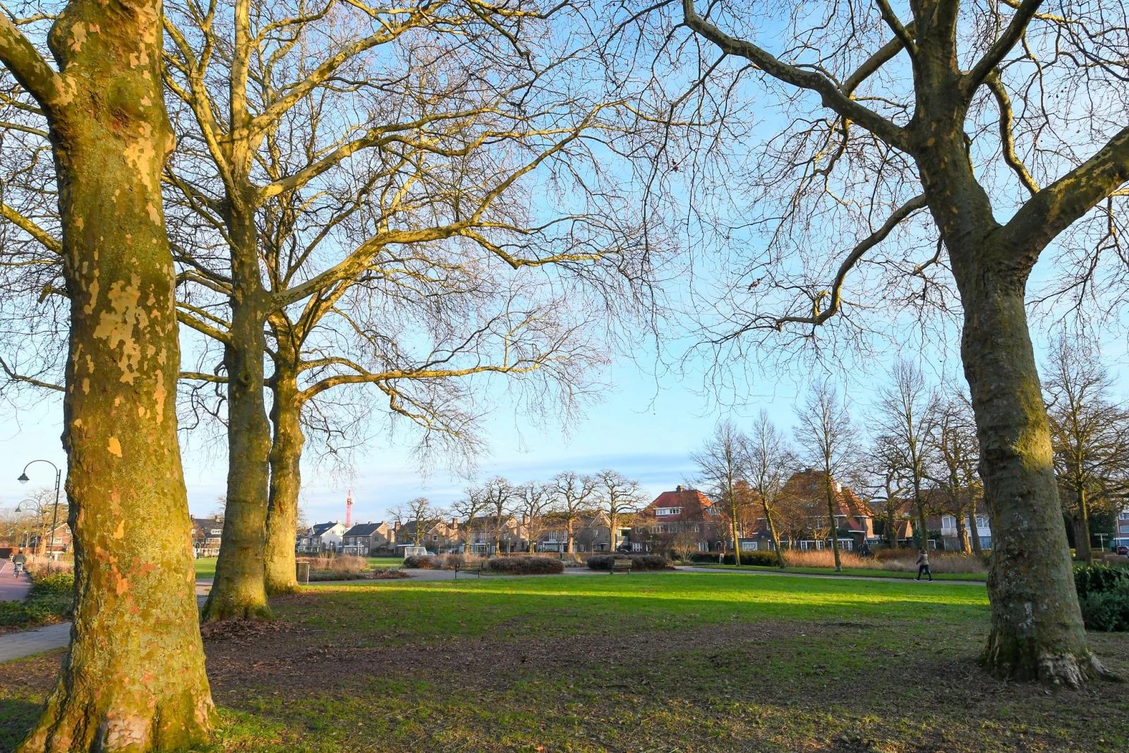 Image 12